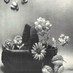 Van Cleef & Arpels Mid-Century Advertising Campaign