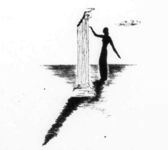 David Grad company logo