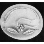 Starlet Simulated pearl necklace and leaf barrettes. 1951 ad